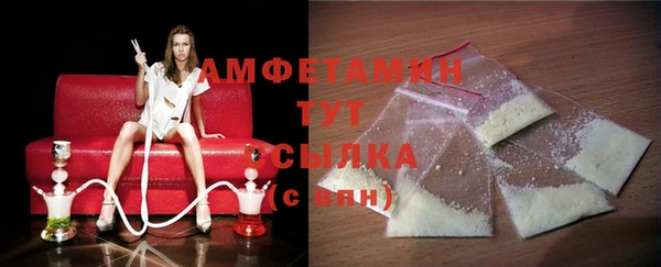 МДПВ Инсар