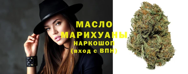 МДПВ Инсар