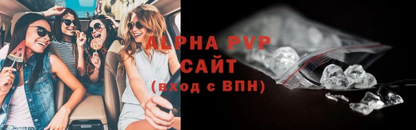 МДПВ Инсар
