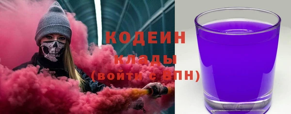 МДПВ Инсар