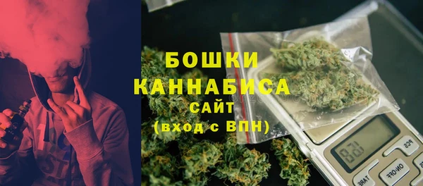 МДПВ Инсар