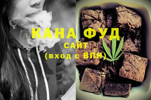 МДПВ Инсар