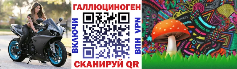 Купить закладки Донецк Галлюциногенные грибы Magic Shrooms